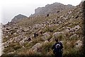 P1174581.JPG
