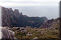 P1174587.JPG