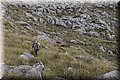 P1174590.JPG