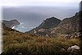P1174594.JPG
