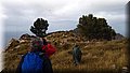 P1174605.JPG
