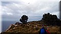 P1174609.JPG