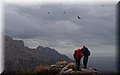 P1174625.JPG