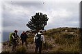 P1174631.JPG