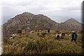 P1174641.JPG
