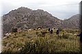 P1174643.JPG