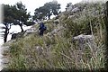 P1174647.JPG
