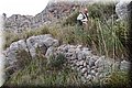 P1174656.JPG