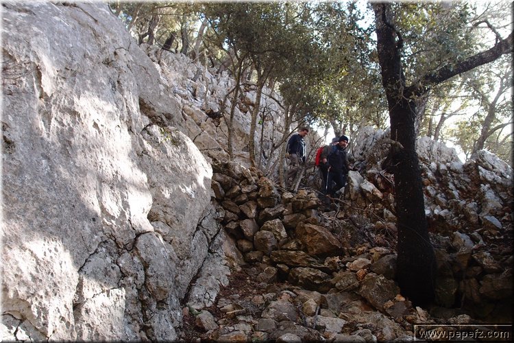 P1284794.JPG