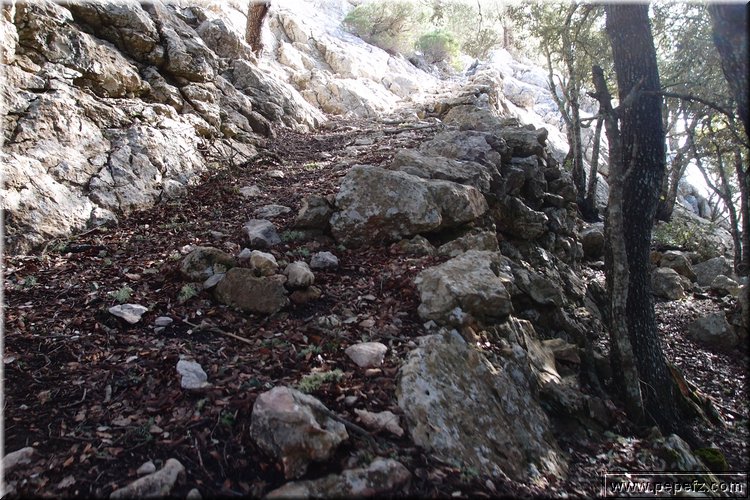 P1284805.JPG