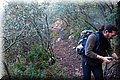 P1284671.JPG