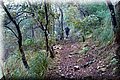 P1284673.JPG