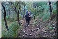 P1284674.JPG