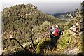 P1284687.JPG