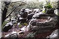 P1284691.JPG
