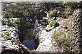 P1284697.JPG
