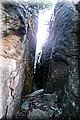 P1284709.JPG
