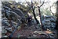 P1284711.JPG