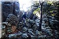 P1284712.JPG