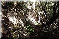P1284743.JPG