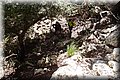 P1284745.JPG