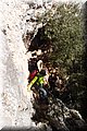 P1284762.JPG