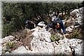 P1284769.JPG