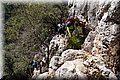 P1284772.JPG