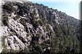 P1284785.JPG