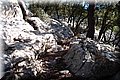 P1284787.JPG