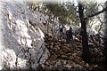 P1284794.JPG