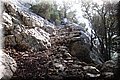 P1284807.JPG