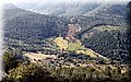 P1284814.JPG