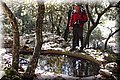 P1284817.JPG