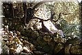 P1284820.JPG