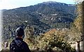 P1284823.JPG