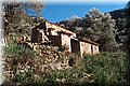 P1284826.JPG
