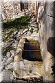 P1284832.JPG
