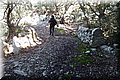 P1284837.JPG