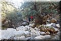 P1304882.JPG