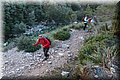P1304884.JPG