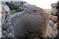 P1304990.JPG