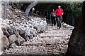 P1305008.JPG