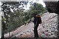 P1305010.JPG