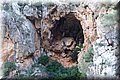 P2045205.JPG