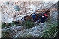 P2045238.JPG