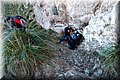 P2045239.JPG