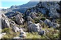 P2045255.JPG