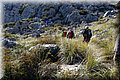 P2045256.JPG
