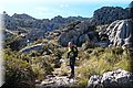 P2045259.JPG